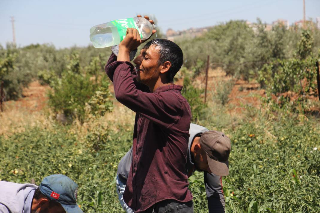 Güneydoğu kavruluyor! Sıcaklıklar 40 dereceyi aştı - Resim: 7